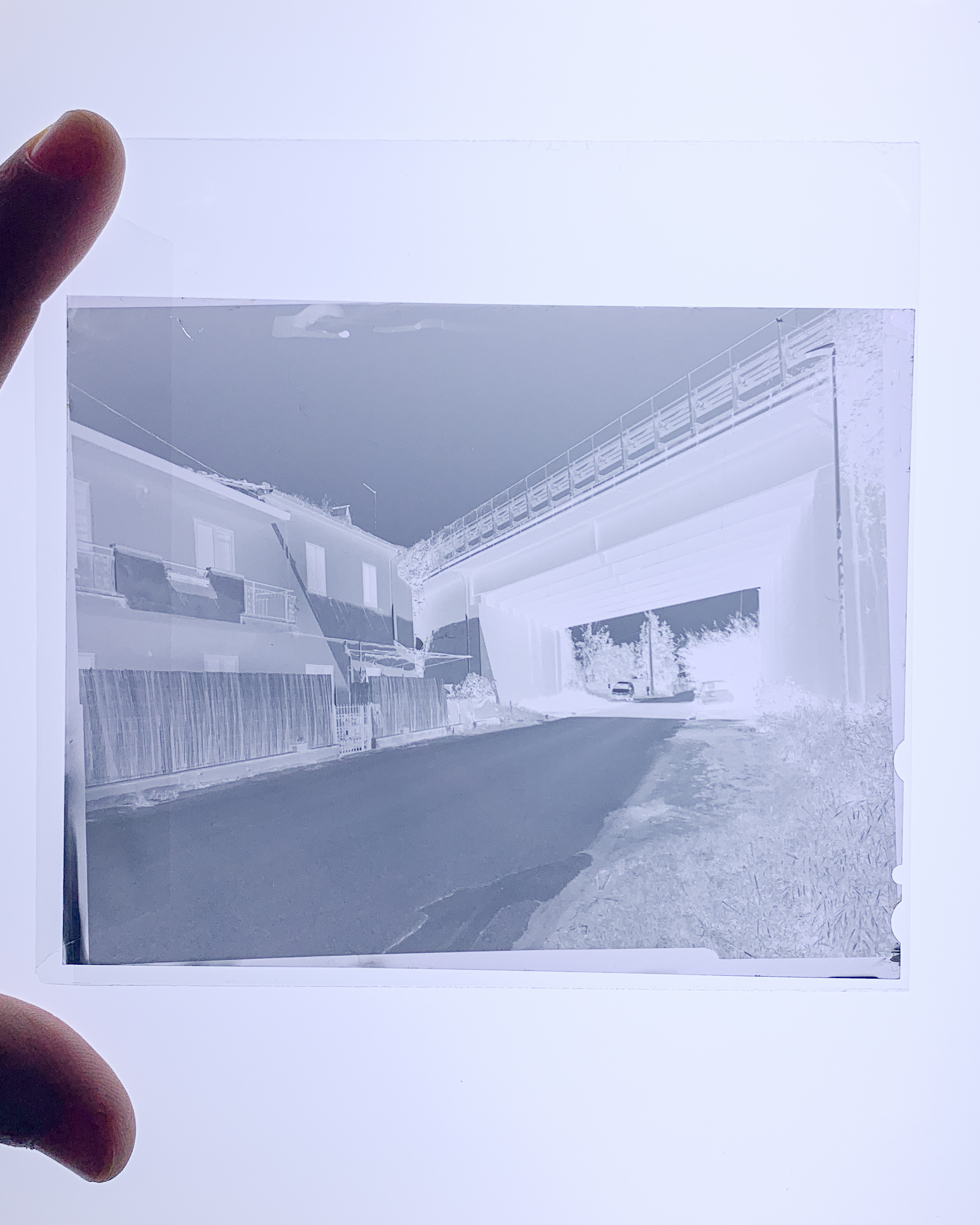 Negativo 4x5 bianco e nero visto su una tavoletta grafica per la visione prima della stampa in camera oscura. 