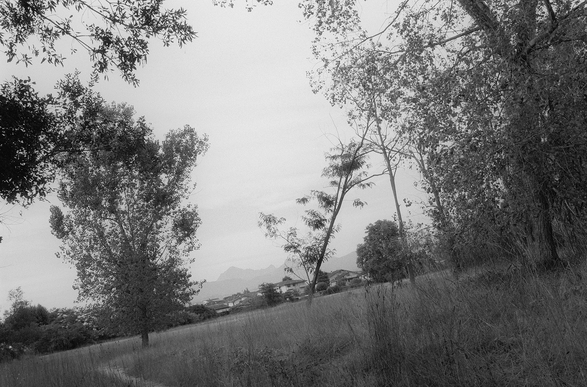 Pellicola fotografica bianco e nero sviluppata a mano professionalmente.